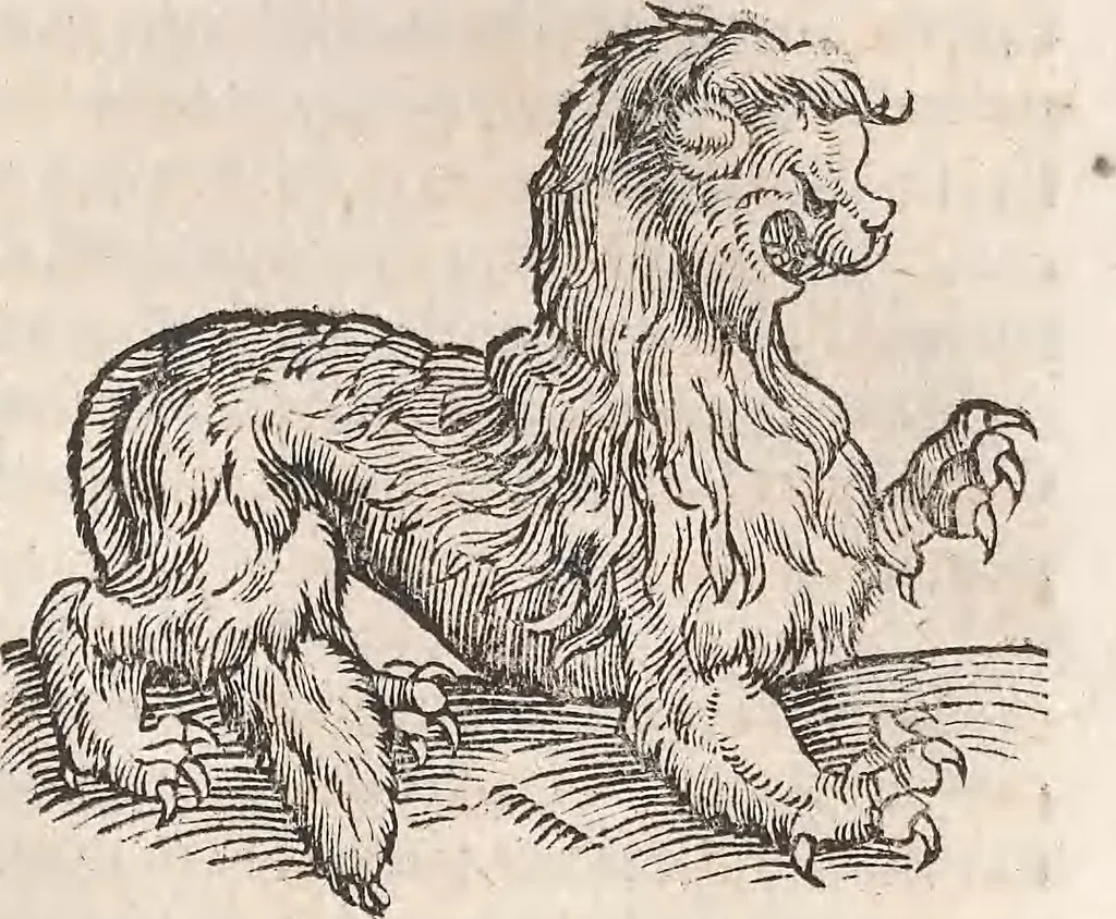 An illustration from Conradi Gesneri medici Tigurini Historiæ animalium Lib. I. de quadrupedibus uiuiparis : opus philosophis, medicis, grammaticis, philologis, poëtis, & omnibus rerum linguarumq́; uariarum studiosis, utilissimum simul iucundissimumq́; futurum .., 1551, leaf 818