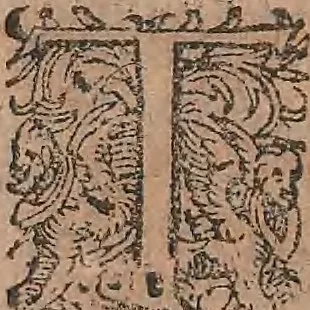 An illustration from Conradi Gesneri medici Tigurini Historiae animalium liber primus de quadrupedibus viuiparis : opus philosophis, medicis, grammaticis, philologis, poëtis, & omnibus rerum linguarumq́ue variarum studiosis, vtilissimum simul iucundissimumq́ue futurum, 1602, leaf 136
