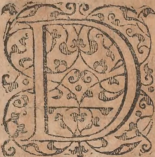 An illustration from Conradi Gesneri medici Tigurini Historiae animalium liber primus de quadrupedibus viuiparis : opus philosophis, medicis, grammaticis, philologis, poëtis, & omnibus rerum linguarumq́ue variarum studiosis, vtilissimum simul iucundissimumq́ue futurum, 1602, leaf 16
