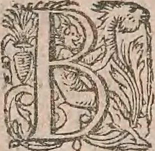 An illustration from Conradi Gesneri medici Tigurini Historiae animalium liber primus de quadrupedibus viuiparis : opus philosophis, medicis, grammaticis, philologis, poëtis, & omnibus rerum linguarumq́ue variarum studiosis, vtilissimum simul iucundissimumq́ue futurum, 1602, leaf 167