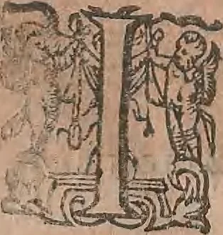 An illustration from Conradi Gesneri medici Tigurini Historiae animalium liber primus de quadrupedibus viuiparis : opus philosophis, medicis, grammaticis, philologis, poëtis, & omnibus rerum linguarumq́ue variarum studiosis, vtilissimum simul iucundissimumq́ue futurum, 1602, leaf 175