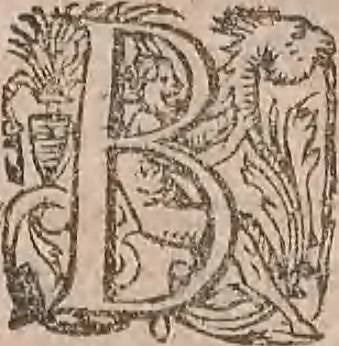 An illustration from Conradi Gesneri medici Tigurini Historiae animalium liber primus de quadrupedibus viuiparis : opus philosophis, medicis, grammaticis, philologis, poëtis, & omnibus rerum linguarumq́ue variarum studiosis, vtilissimum simul iucundissimumq́ue futurum, 1602, leaf 176