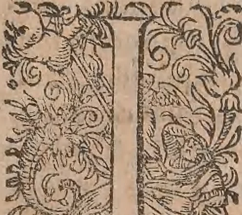 An illustration from Conradi Gesneri medici Tigurini Historiae animalium liber primus de quadrupedibus viuiparis : opus philosophis, medicis, grammaticis, philologis, poëtis, & omnibus rerum linguarumq́ue variarum studiosis, vtilissimum simul iucundissimumq́ue futurum, 1602, leaf 18