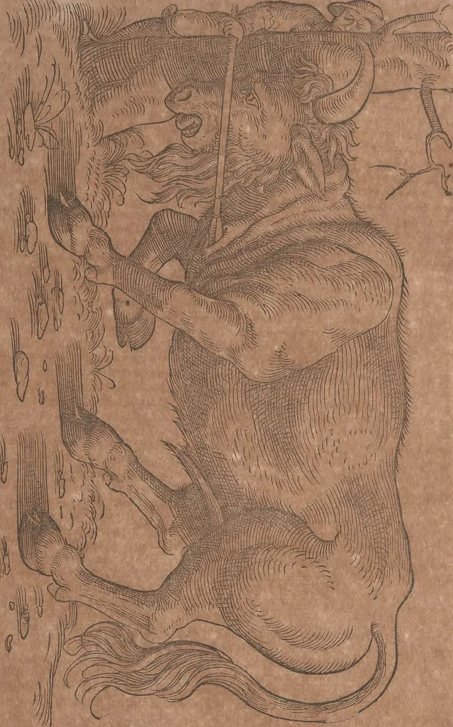 An illustration from Conradi Gesneri medici Tigurini Historiae animalium liber primus de quadrupedibus viuiparis : opus philosophis, medicis, grammaticis, philologis, poëtis, & omnibus rerum linguarumq́ue variarum studiosis, vtilissimum simul iucundissimumq́ue futurum, 1602, leaf 188