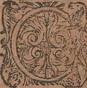 An illustration from Conradi Gesneri medici Tigurini Historiae animalium liber primus de quadrupedibus viuiparis : opus philosophis, medicis, grammaticis, philologis, poëtis, & omnibus rerum linguarumq́ue variarum studiosis, vtilissimum simul iucundissimumq́ue futurum, 1602, leaf 191