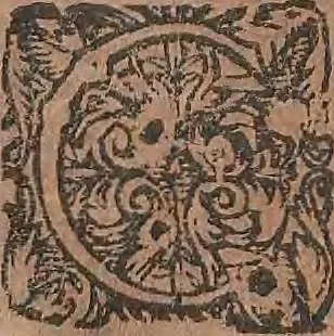 An illustration from Conradi Gesneri medici Tigurini Historiae animalium liber primus de quadrupedibus viuiparis : opus philosophis, medicis, grammaticis, philologis, poëtis, & omnibus rerum linguarumq́ue variarum studiosis, vtilissimum simul iucundissimumq́ue futurum, 1602, leaf 191