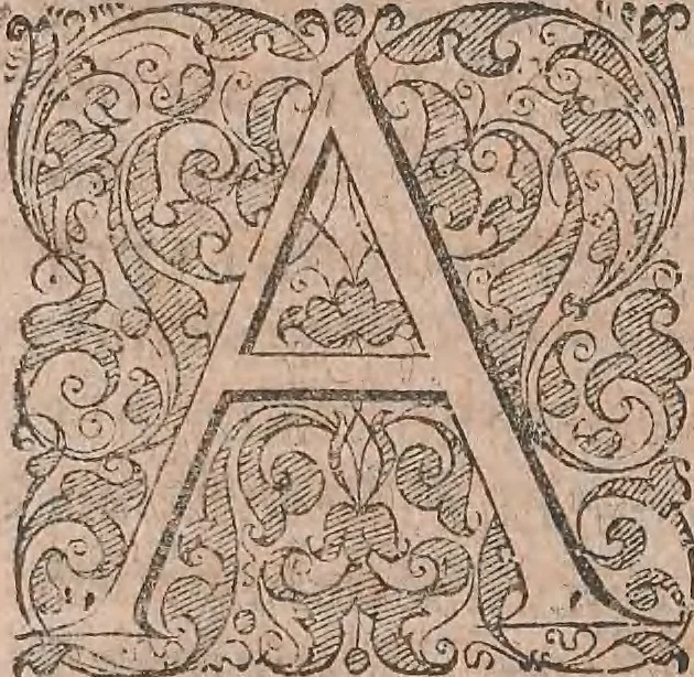 An illustration from Conradi Gesneri medici Tigurini Historiae animalium liber primus de quadrupedibus viuiparis : opus philosophis, medicis, grammaticis, philologis, poëtis, & omnibus rerum linguarumq́ue variarum studiosis, vtilissimum simul iucundissimumq́ue futurum, 1602, leaf 25