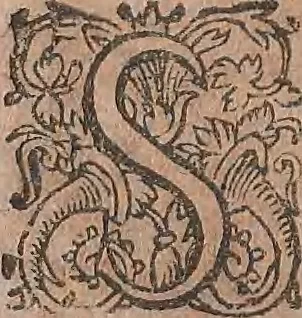 An illustration from Conradi Gesneri medici Tigurini Historiae animalium liber primus de quadrupedibus viuiparis : opus philosophis, medicis, grammaticis, philologis, poëtis, & omnibus rerum linguarumq́ue variarum studiosis, vtilissimum simul iucundissimumq́ue futurum, 1602, leaf 275