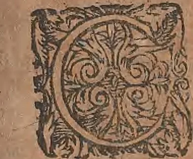 An illustration from Conradi Gesneri medici Tigurini Historiae animalium liber primus de quadrupedibus viuiparis : opus philosophis, medicis, grammaticis, philologis, poëtis, & omnibus rerum linguarumq́ue variarum studiosis, vtilissimum simul iucundissimumq́ue futurum, 1602, leaf 290