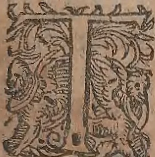 An illustration from Conradi Gesneri medici Tigurini Historiae animalium liber primus de quadrupedibus viuiparis : opus philosophis, medicis, grammaticis, philologis, poëtis, & omnibus rerum linguarumq́ue variarum studiosis, vtilissimum simul iucundissimumq́ue futurum, 1602, leaf 328