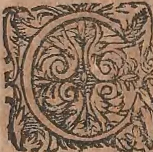 An illustration from Conradi Gesneri medici Tigurini Historiae animalium liber primus de quadrupedibus viuiparis : opus philosophis, medicis, grammaticis, philologis, poëtis, & omnibus rerum linguarumq́ue variarum studiosis, vtilissimum simul iucundissimumq́ue futurum, 1602, leaf 335