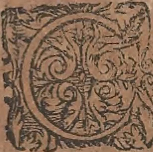 An illustration from Conradi Gesneri medici Tigurini Historiae animalium liber primus de quadrupedibus viuiparis : opus philosophis, medicis, grammaticis, philologis, poëtis, & omnibus rerum linguarumq́ue variarum studiosis, vtilissimum simul iucundissimumq́ue futurum, 1602, leaf 341
