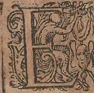 An illustration from Conradi Gesneri medici Tigurini Historiae animalium liber primus de quadrupedibus viuiparis : opus philosophis, medicis, grammaticis, philologis, poëtis, & omnibus rerum linguarumq́ue variarum studiosis, vtilissimum simul iucundissimumq́ue futurum, 1602, leaf 349