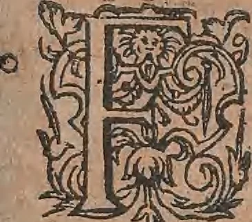 An illustration from Conradi Gesneri medici Tigurini Historiae animalium liber primus de quadrupedibus viuiparis : opus philosophis, medicis, grammaticis, philologis, poëtis, & omnibus rerum linguarumq́ue variarum studiosis, vtilissimum simul iucundissimumq́ue futurum, 1602, leaf 362