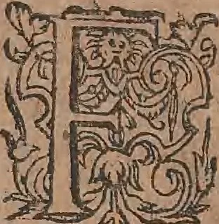 An illustration from Conradi Gesneri medici Tigurini Historiae animalium liber primus de quadrupedibus viuiparis : opus philosophis, medicis, grammaticis, philologis, poëtis, & omnibus rerum linguarumq́ue variarum studiosis, vtilissimum simul iucundissimumq́ue futurum, 1602, leaf 370