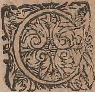 An illustration from Conradi Gesneri medici Tigurini Historiae animalium liber primus de quadrupedibus viuiparis : opus philosophis, medicis, grammaticis, philologis, poëtis, & omnibus rerum linguarumq́ue variarum studiosis, vtilissimum simul iucundissimumq́ue futurum, 1602, leaf 371
