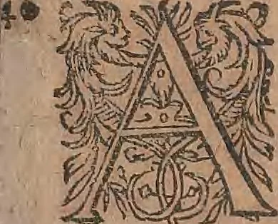 An illustration from Conradi Gesneri medici Tigurini Historiae animalium liber primus de quadrupedibus viuiparis : opus philosophis, medicis, grammaticis, philologis, poëtis, & omnibus rerum linguarumq́ue variarum studiosis, vtilissimum simul iucundissimumq́ue futurum, 1602, leaf 406