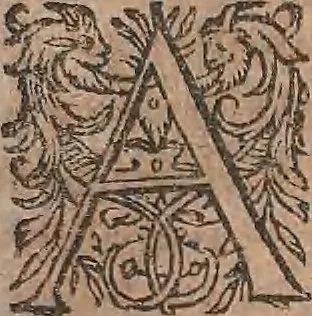 An illustration from Conradi Gesneri medici Tigurini Historiae animalium liber primus de quadrupedibus viuiparis : opus philosophis, medicis, grammaticis, philologis, poëtis, & omnibus rerum linguarumq́ue variarum studiosis, vtilissimum simul iucundissimumq́ue futurum, 1602, leaf 412
