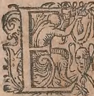 An illustration from Conradi Gesneri medici Tigurini Historiae animalium liber primus de quadrupedibus viuiparis : opus philosophis, medicis, grammaticis, philologis, poëtis, & omnibus rerum linguarumq́ue variarum studiosis, vtilissimum simul iucundissimumq́ue futurum, 1602, leaf 421