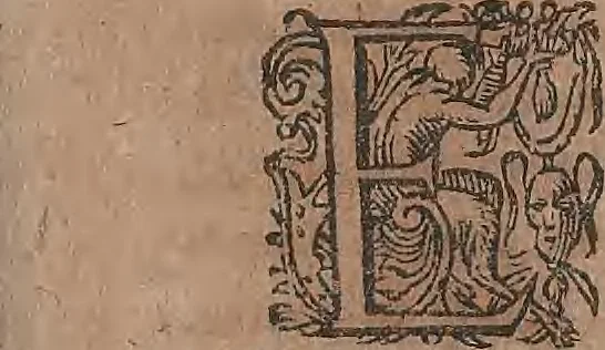 An illustration from Conradi Gesneri medici Tigurini Historiae animalium liber primus de quadrupedibus viuiparis : opus philosophis, medicis, grammaticis, philologis, poëtis, & omnibus rerum linguarumq́ue variarum studiosis, vtilissimum simul iucundissimumq́ue futurum, 1602, leaf 448