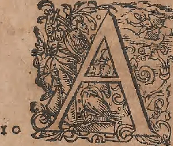 An illustration from Conradi Gesneri medici Tigurini Historiae animalium liber primus de quadrupedibus viuiparis : opus philosophis, medicis, grammaticis, philologis, poëtis, & omnibus rerum linguarumq́ue variarum studiosis, vtilissimum simul iucundissimumq́ue futurum, 1602, leaf 46