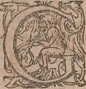 An illustration from Conradi Gesneri medici Tigurini Historiae animalium liber primus de quadrupedibus viuiparis : opus philosophis, medicis, grammaticis, philologis, poëtis, & omnibus rerum linguarumq́ue variarum studiosis, vtilissimum simul iucundissimumq́ue futurum, 1602, leaf 599