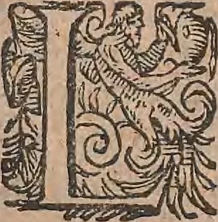 An illustration from Conradi Gesneri medici Tigurini Historiae animalium liber primus de quadrupedibus viuiparis : opus philosophis, medicis, grammaticis, philologis, poëtis, & omnibus rerum linguarumq́ue variarum studiosis, vtilissimum simul iucundissimumq́ue futurum, 1602, leaf 650