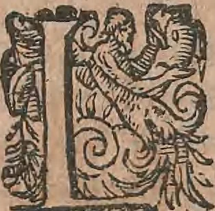 An illustration from Conradi Gesneri medici Tigurini Historiae animalium liber primus de quadrupedibus viuiparis : opus philosophis, medicis, grammaticis, philologis, poëtis, & omnibus rerum linguarumq́ue variarum studiosis, vtilissimum simul iucundissimumq́ue futurum, 1602, leaf 679