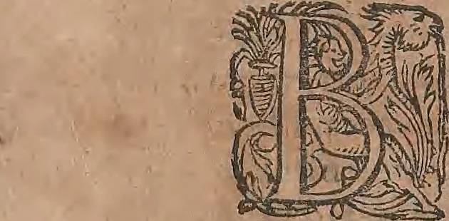 An illustration from Conradi Gesneri medici Tigurini Historiae animalium liber primus de quadrupedibus viuiparis : opus philosophis, medicis, grammaticis, philologis, poëtis, & omnibus rerum linguarumq́ue variarum studiosis, vtilissimum simul iucundissimumq́ue futurum, 1602, leaf 70