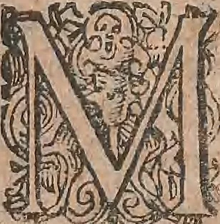 An illustration from Conradi Gesneri medici Tigurini Historiae animalium liber primus de quadrupedibus viuiparis : opus philosophis, medicis, grammaticis, philologis, poëtis, & omnibus rerum linguarumq́ue variarum studiosis, vtilissimum simul iucundissimumq́ue futurum, 1602, leaf 734