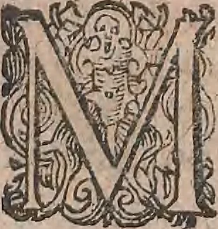 An illustration from Conradi Gesneri medici Tigurini Historiae animalium liber primus de quadrupedibus viuiparis : opus philosophis, medicis, grammaticis, philologis, poëtis, & omnibus rerum linguarumq́ue variarum studiosis, vtilissimum simul iucundissimumq́ue futurum, 1602, leaf 775