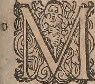 An illustration from Conradi Gesneri medici Tigurini Historiae animalium liber primus de quadrupedibus viuiparis : opus philosophis, medicis, grammaticis, philologis, poëtis, & omnibus rerum linguarumq́ue variarum studiosis, vtilissimum simul iucundissimumq́ue futurum, 1602, leaf 776