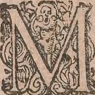 An illustration from Conradi Gesneri medici Tigurini Historiae animalium liber primus de quadrupedibus viuiparis : opus philosophis, medicis, grammaticis, philologis, poëtis, & omnibus rerum linguarumq́ue variarum studiosis, vtilissimum simul iucundissimumq́ue futurum, 1602, leaf 777