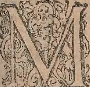 An illustration from Conradi Gesneri medici Tigurini Historiae animalium liber primus de quadrupedibus viuiparis : opus philosophis, medicis, grammaticis, philologis, poëtis, & omnibus rerum linguarumq́ue variarum studiosis, vtilissimum simul iucundissimumq́ue futurum, 1602, leaf 778