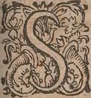 An illustration from Conradi Gesneri medici Tigurini Historiae animalium liber primus de quadrupedibus viuiparis : opus philosophis, medicis, grammaticis, philologis, poëtis, & omnibus rerum linguarumq́ue variarum studiosis, vtilissimum simul iucundissimumq́ue futurum, 1602, leaf 780