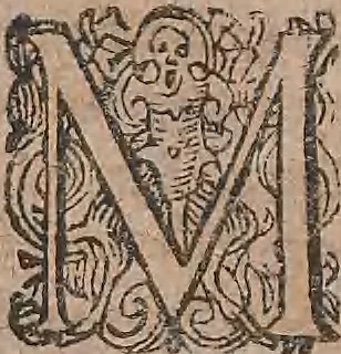 An illustration from Conradi Gesneri medici Tigurini Historiae animalium liber primus de quadrupedibus viuiparis : opus philosophis, medicis, grammaticis, philologis, poëtis, & omnibus rerum linguarumq́ue variarum studiosis, vtilissimum simul iucundissimumq́ue futurum, 1602, leaf 786
