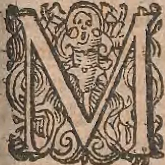 An illustration from Conradi Gesneri medici Tigurini Historiae animalium liber primus de quadrupedibus viuiparis : opus philosophis, medicis, grammaticis, philologis, poëtis, & omnibus rerum linguarumq́ue variarum studiosis, vtilissimum simul iucundissimumq́ue futurum, 1602, leaf 788