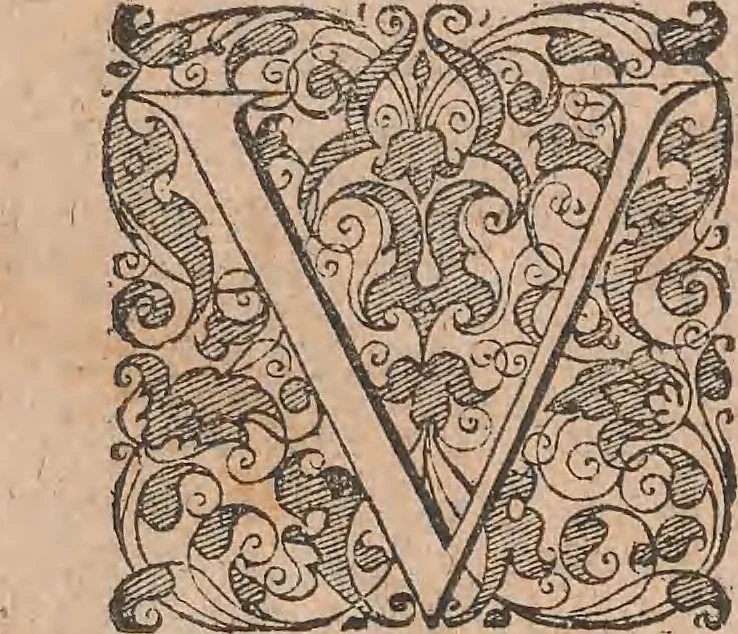 An illustration from Conradi Gesneri medici Tigurini Historiae animalium liber primus de quadrupedibus viuiparis : opus philosophis, medicis, grammaticis, philologis, poëtis, & omnibus rerum linguarumq́ue variarum studiosis, vtilissimum simul iucundissimumq́ue futurum, 1602, leaf 8