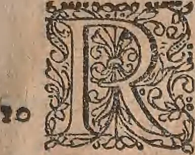 An illustration from Conradi Gesneri medici Tigurini Historiae animalium liber primus de quadrupedibus viuiparis : opus philosophis, medicis, grammaticis, philologis, poëtis, & omnibus rerum linguarumq́ue variarum studiosis, vtilissimum simul iucundissimumq́ue futurum, 1602, leaf 884