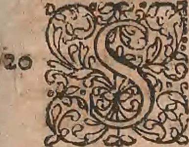 An illustration from Conradi Gesneri medici Tigurini Historiae animalium liber primus de quadrupedibus viuiparis : opus philosophis, medicis, grammaticis, philologis, poëtis, & omnibus rerum linguarumq́ue variarum studiosis, vtilissimum simul iucundissimumq́ue futurum, 1602, leaf 892