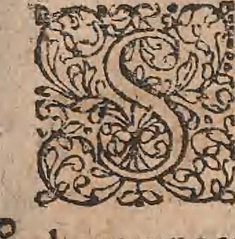 An illustration from Conradi Gesneri medici Tigurini Historiae animalium liber primus de quadrupedibus viuiparis : opus philosophis, medicis, grammaticis, philologis, poëtis, & omnibus rerum linguarumq́ue variarum studiosis, vtilissimum simul iucundissimumq́ue futurum, 1602, leaf 900