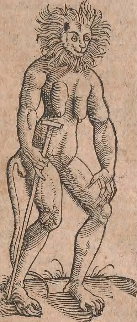 An illustration from Conradi Gesneri medici Tigurini Historiae animalium liber primus de quadrupedibus viuiparis : opus philosophis, medicis, grammaticis, philologis, poëtis, & omnibus rerum linguarumq́ue variarum studiosis, vtilissimum simul iucundissimumq́ue futurum, 1602, leaf 904