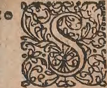 An illustration from Conradi Gesneri medici Tigurini Historiae animalium liber primus de quadrupedibus viuiparis : opus philosophis, medicis, grammaticis, philologis, poëtis, & omnibus rerum linguarumq́ue variarum studiosis, vtilissimum simul iucundissimumq́ue futurum, 1602, leaf 912