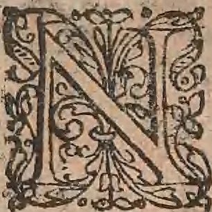 An illustration from Conradi Gesneri medici Tigurini Historiae animalium liber primus de quadrupedibus viuiparis : opus philosophis, medicis, grammaticis, philologis, poëtis, & omnibus rerum linguarumq́ue variarum studiosis, vtilissimum simul iucundissimumq́ue futurum, 1602, leaf 916