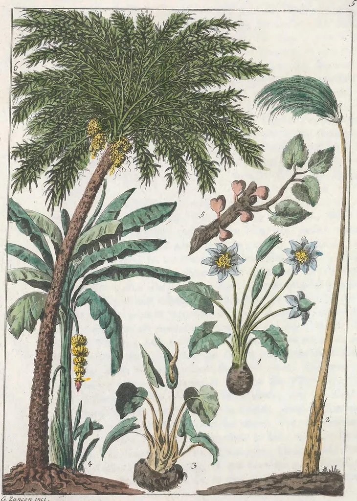 An illustration from Le Costume ancien et moderne ; ou, Histoire du gouvernement, de la milice, de la religion, des arts, sciences et usages de tous les peuples anciens et modernes, d'après les monumens de l'antiquité et accompagné de dessins analogues au sujet, 1815, leaf 57