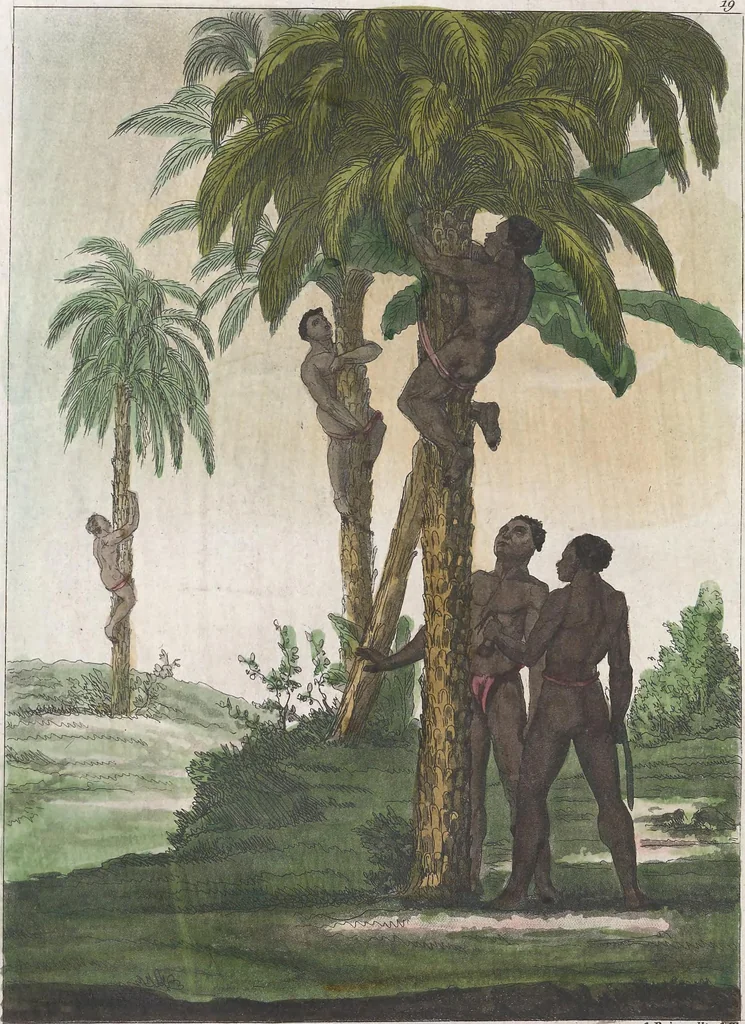 An illustration from Le Costume ancien et moderne ; ou, Histoire du gouvernement, de la milice, de la religion, des arts, sciences et usages de tous les peuples anciens et modernes, d'après les monumens de l'antiquité et accompagné de dessins analogues au sujet, 1815, leaf 169