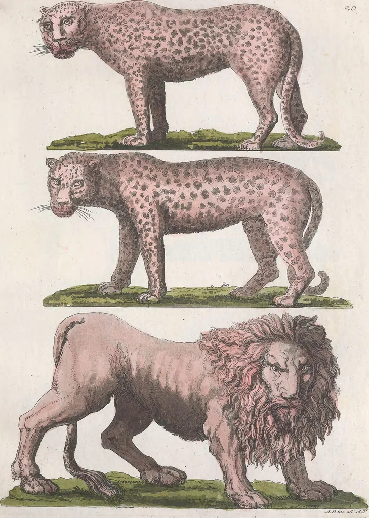 An illustration from Le Costume ancien et moderne ; ou, Histoire du gouvernement, de la milice, de la religion, des arts, sciences et usages de tous les peuples anciens et modernes, d'après les monumens de l'antiquité et accompagné de dessins analogues au sujet, 1815, leaf 172