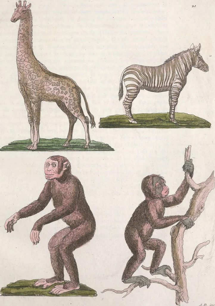 An illustration from Le Costume ancien et moderne ; ou, Histoire du gouvernement, de la milice, de la religion, des arts, sciences et usages de tous les peuples anciens et modernes, d'après les monumens de l'antiquité et accompagné de dessins analogues au sujet, 1815, leaf 174