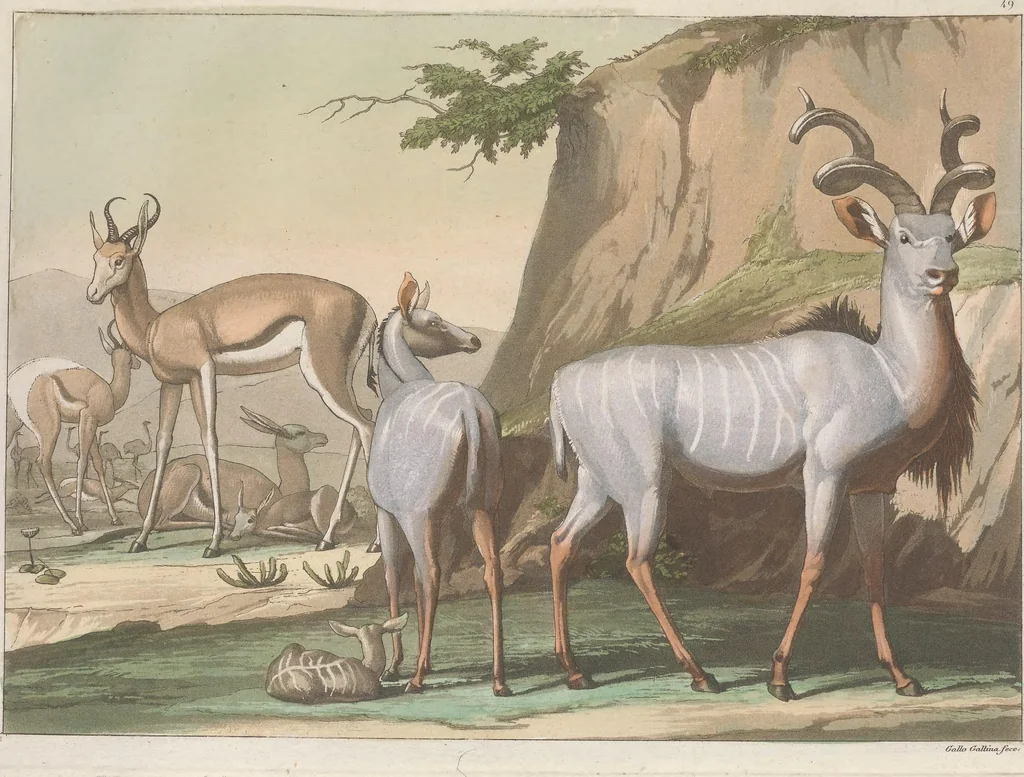 An illustration from Le Costume ancien et moderne ; ou, Histoire du gouvernement, de la milice, de la religion, des arts, sciences et usages de tous les peuples anciens et modernes, d'après les monumens de l'antiquité et accompagné de dessins analogues au sujet, 1815, leaf 456