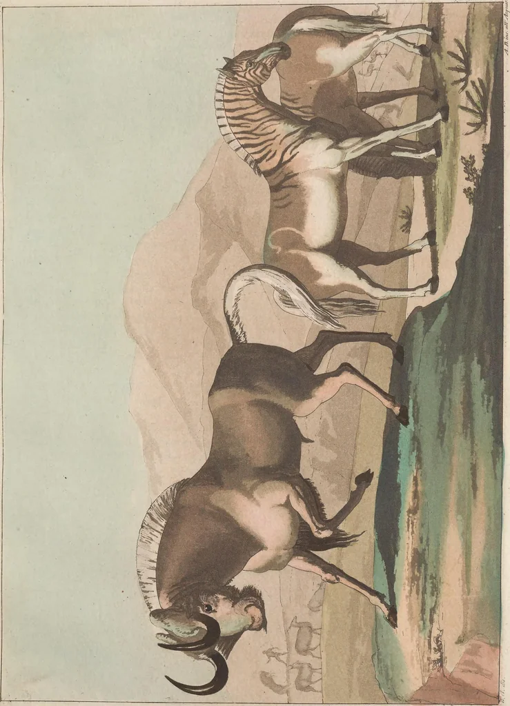 An illustration from Le Costume ancien et moderne ; ou, Histoire du gouvernement, de la milice, de la religion, des arts, sciences et usages de tous les peuples anciens et modernes, d'après les monumens de l'antiquité et accompagné de dessins analogues au sujet, 1815, leaf 458